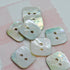 Button - Akoya Shell - Square 18mm